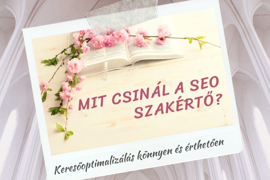 mit csinál a seo szakértő_ seolady