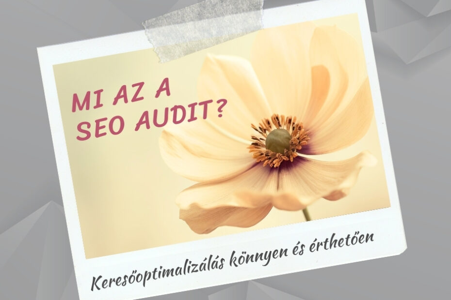 Mi az a seo audit _seolady